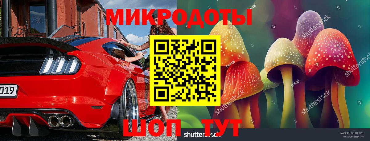 Галлюциногенные грибы Cubensis Каменск-Шахтинский